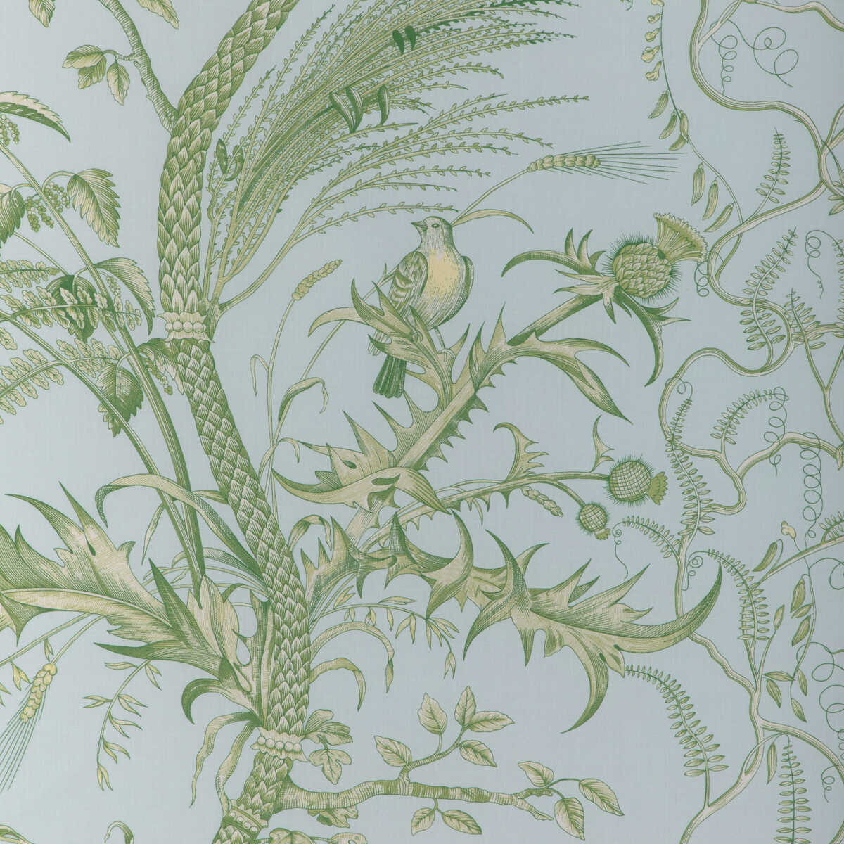 Bird And Thistle Ii - Sky