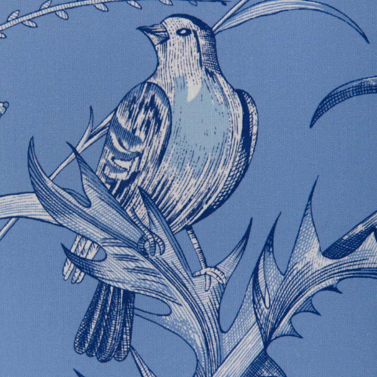 Bird And Thistle Ii - Blue - BRUNSCHWIG & FILS Fabric