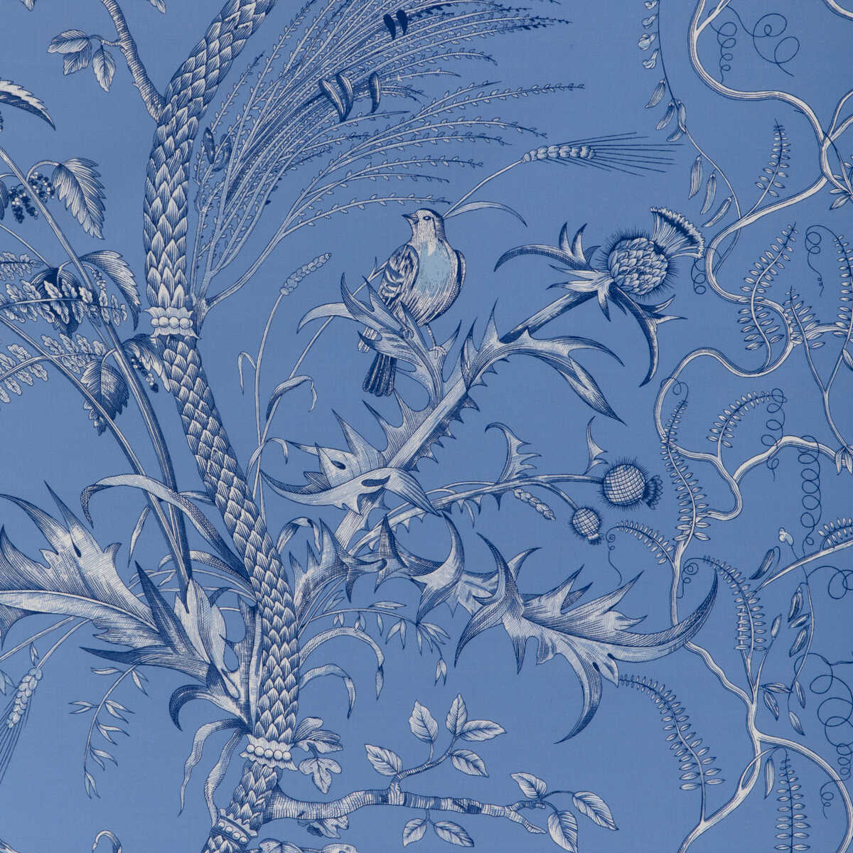 Bird And Thistle Ii - Blue