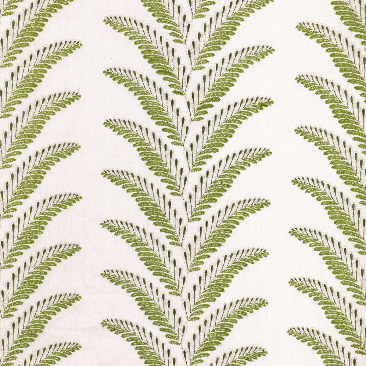 Fougere Emb - Leaf