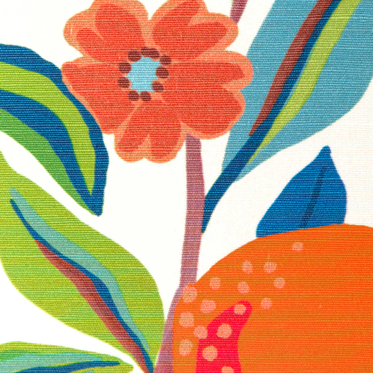 Pomelo Print - Multi - BRUNSCHWIG & FILS Tela