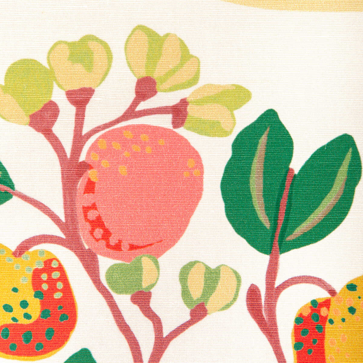 Pomelo Print - Spring - BRUNSCHWIG & FILS Tela