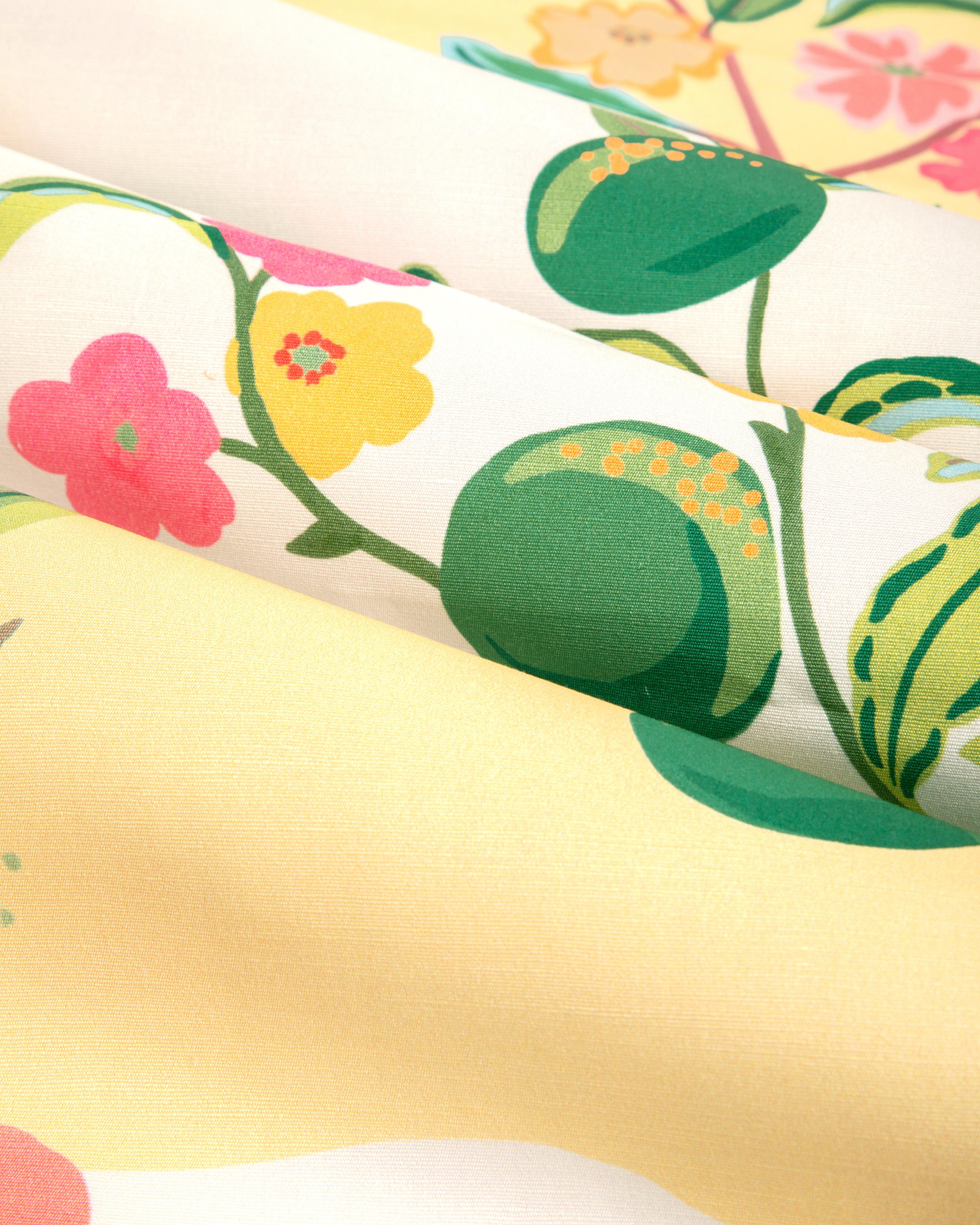 Pomelo Print - Spring - Brunschwig & Fils Fabric