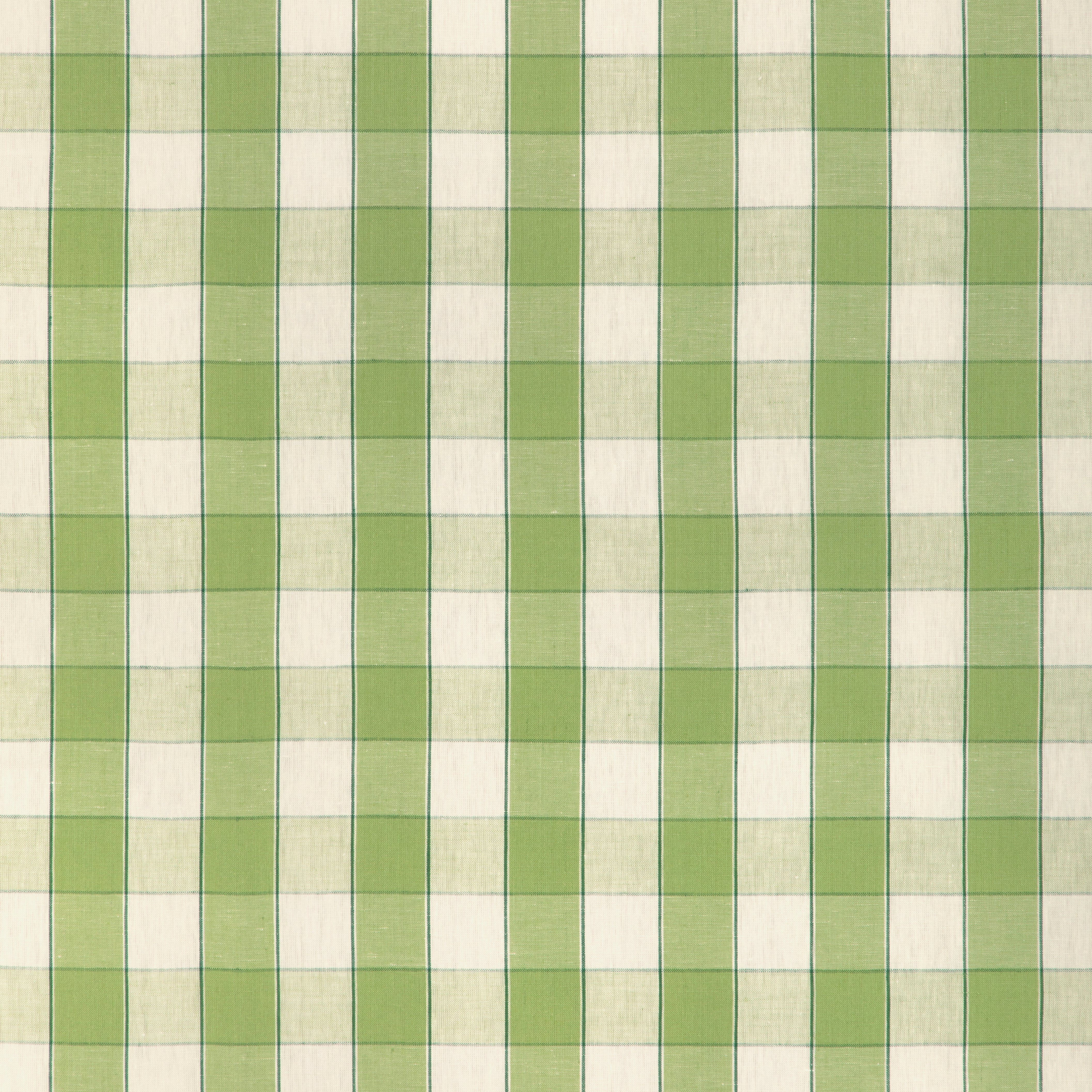 Clemens Check - Green - Brunschwig & Fils Fabric