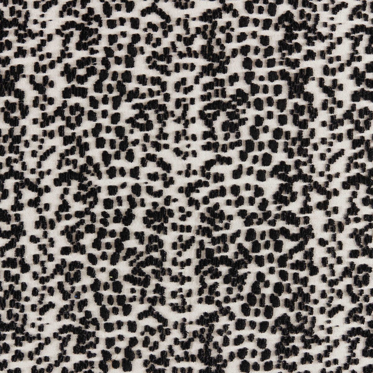 Les Touches Velvet - Noir - BRUNSCHWIG & FILS Tela