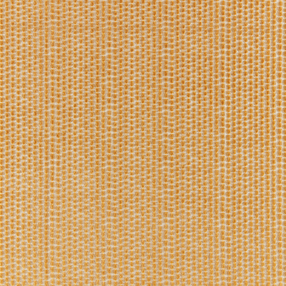 Templon Velvet - Gold - Brunschwig & Fils Tela
