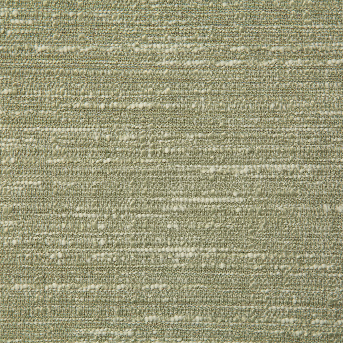 8040-wells-fern-pindler