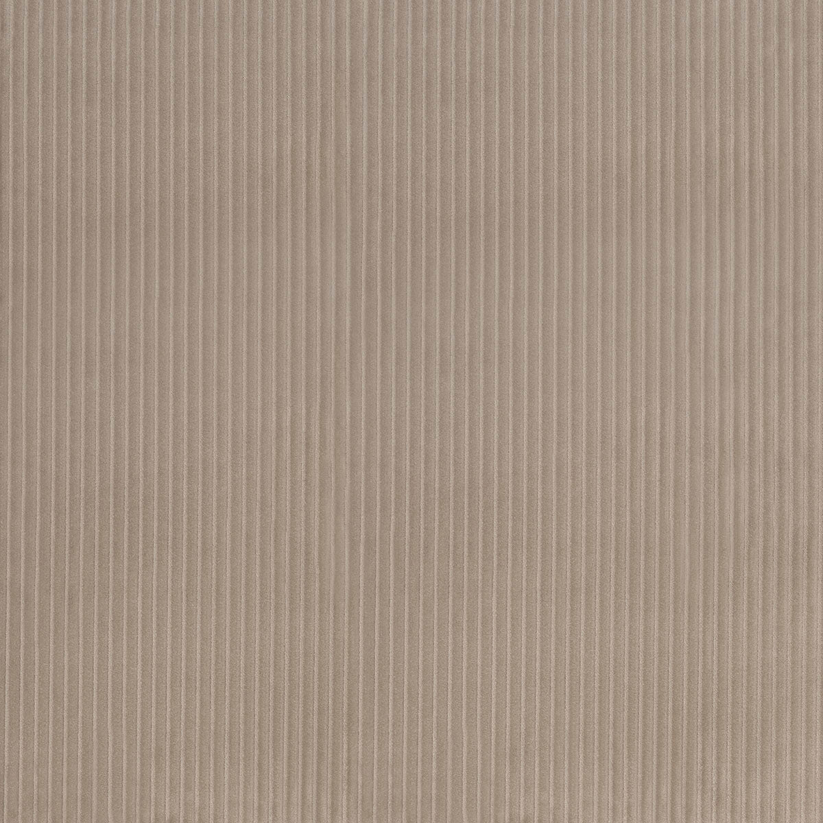 WYATT-CORDUROY-SANDSTONE-SCHUMACHER-80459