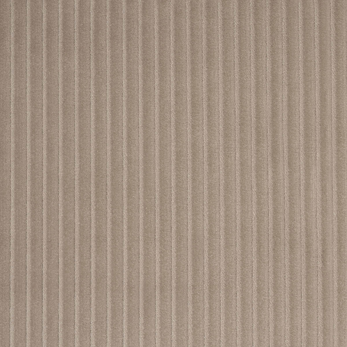 WYATT-CORDUROY-SANDSTONE-SCHUMACHER-80459