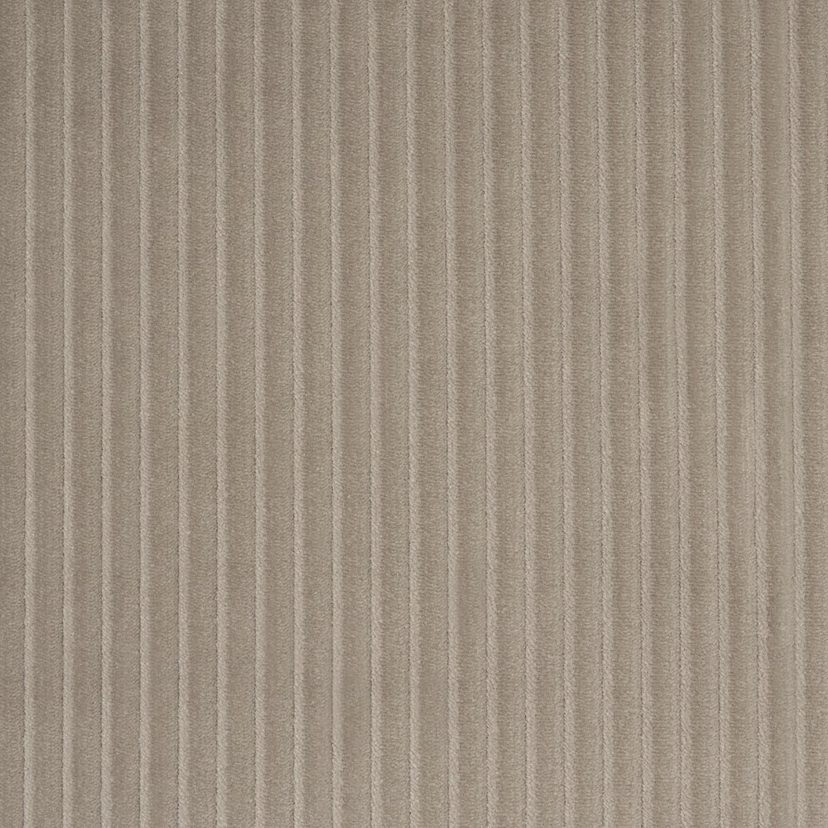 WYATT-CORDUROY-SANDSTONE-SCHUMACHER-80459 - Schumacher Fabric