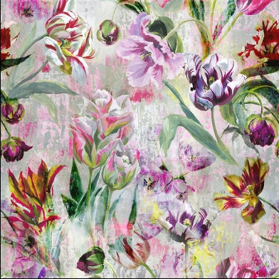 tulipa-stellata-designers-guild-fdg2758-01