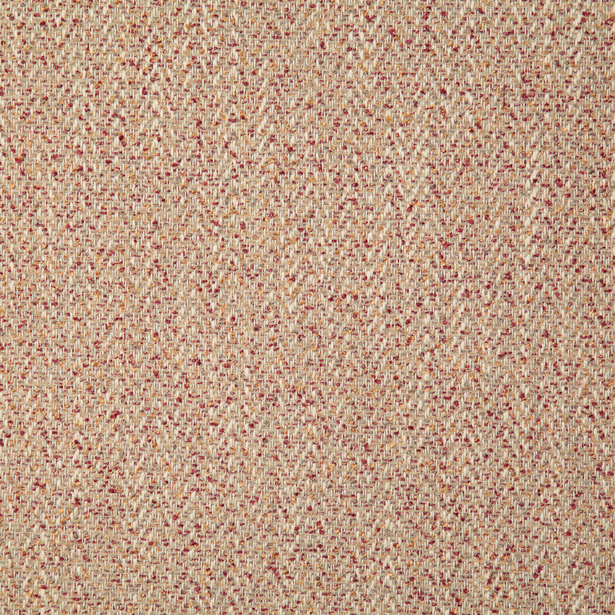 8062-gibbon-saffron-pindler