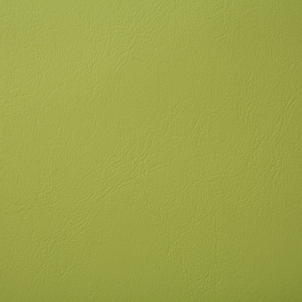 8073-poolside-sprout-pindler - Pindler Fabric