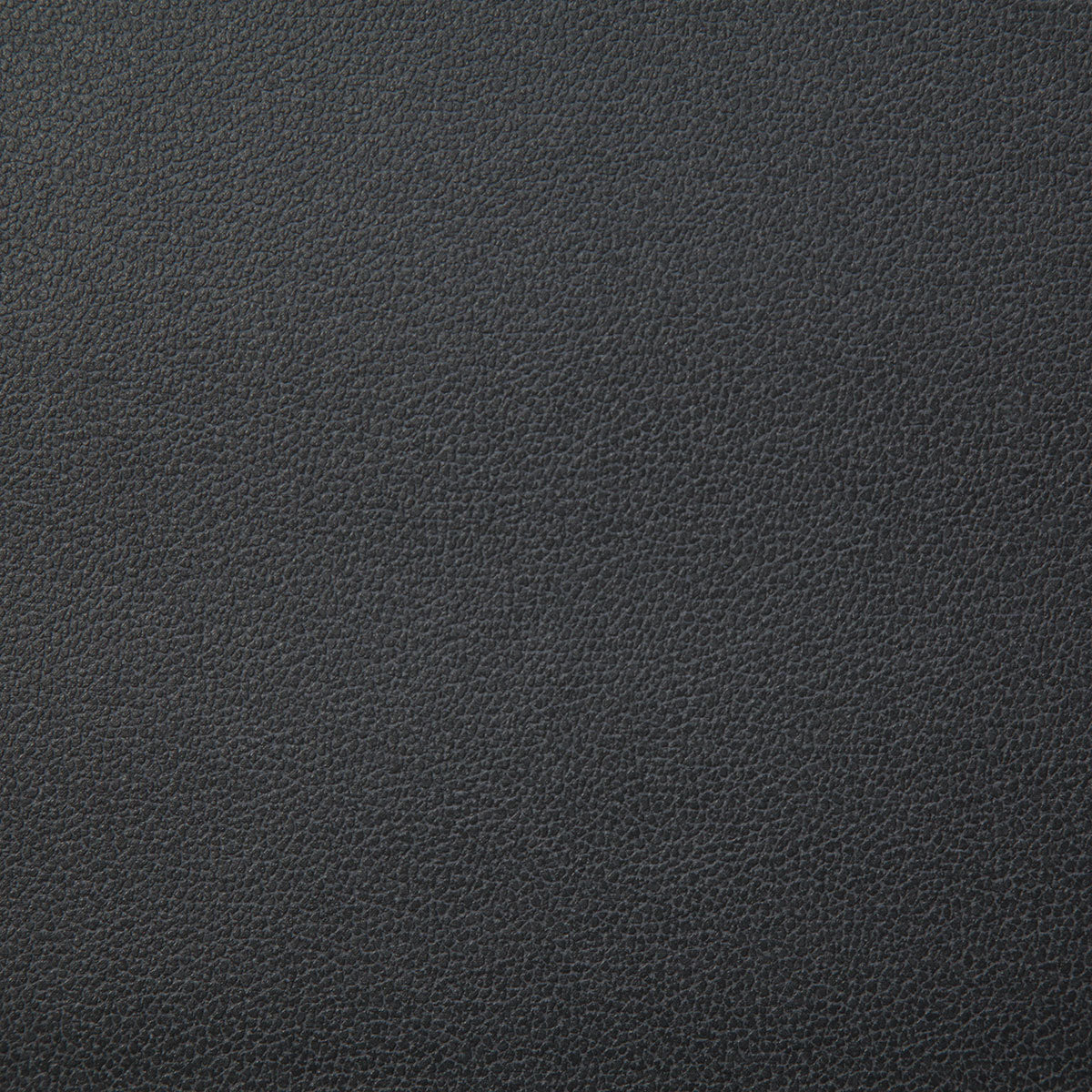 8078-lasso-charcoal-pindler - Pindler Fabric