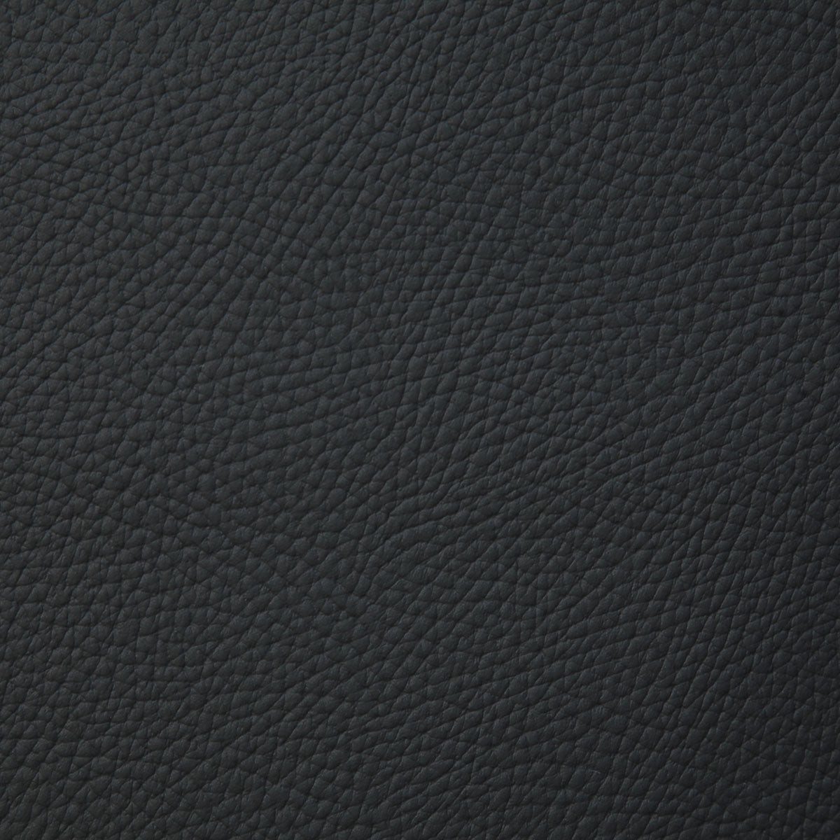 8079-bandero-black-pindler - Pindler Fabric