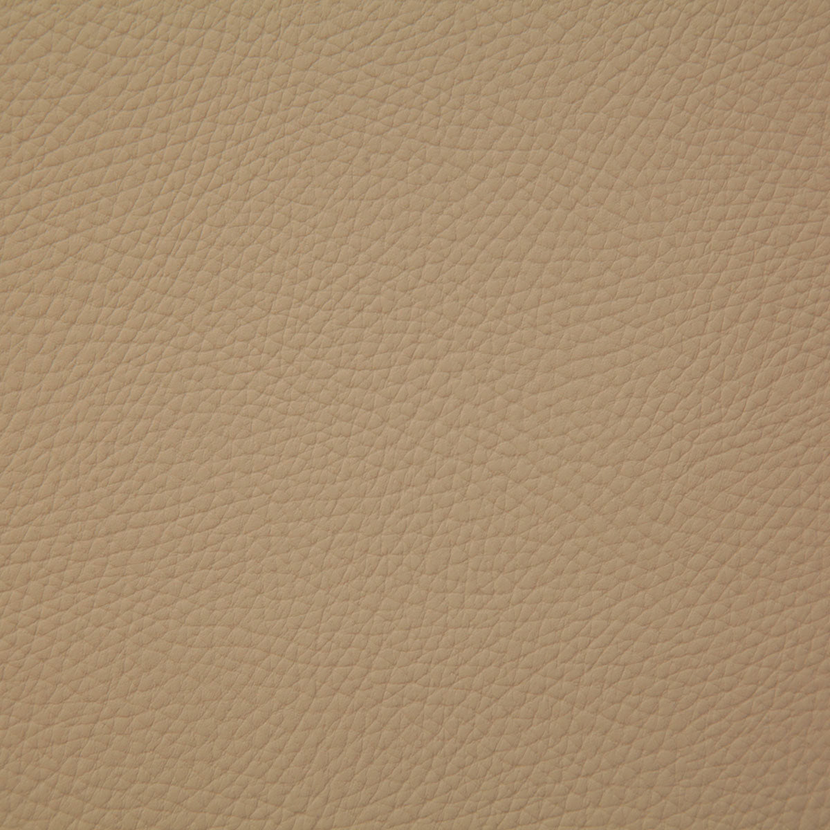 8079-bandero-buckskin-pindler - Pindler Fabric