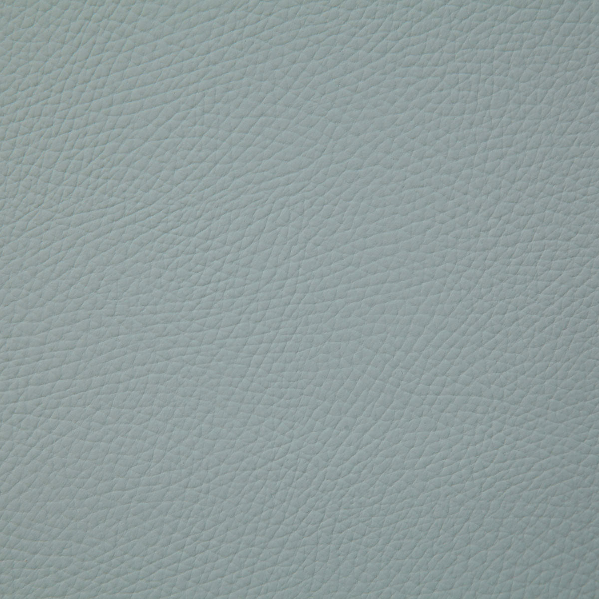 8079-bandero-ice-pindler