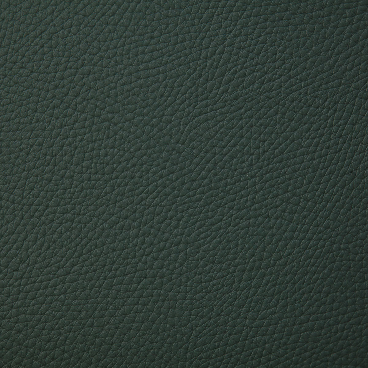 8079-bandero-ivy-pindler