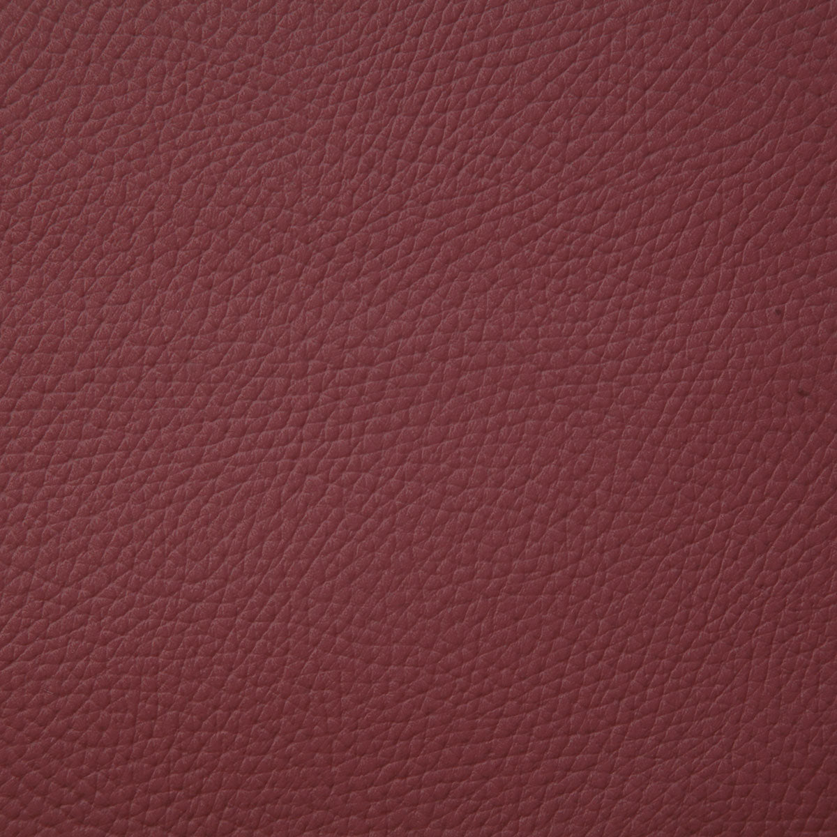 8079-bandero-oxblood-pindler