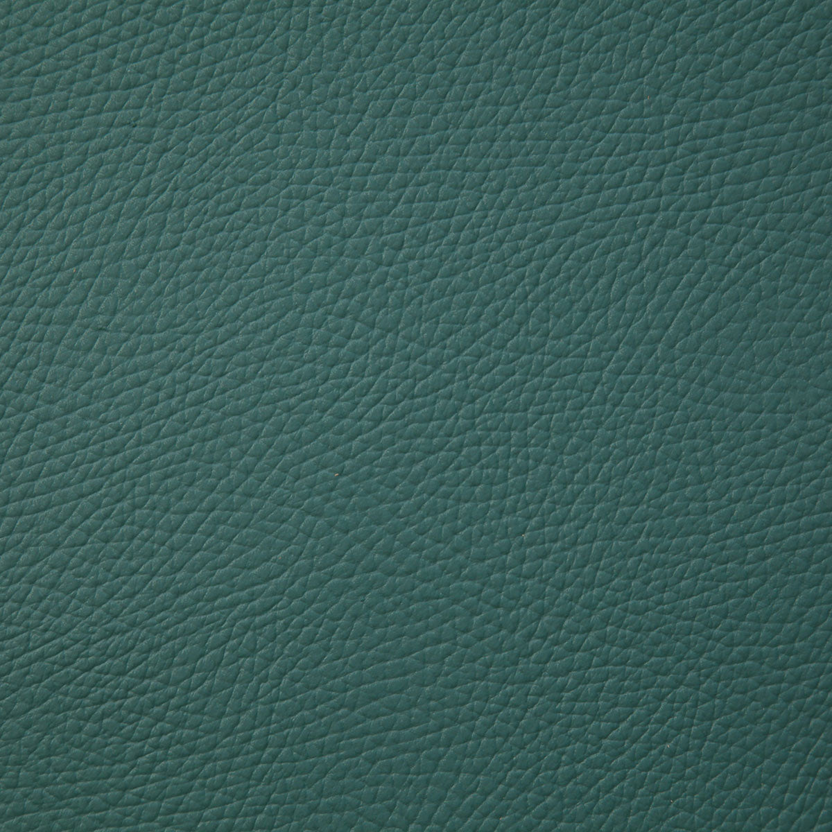 8079-bandero-pine-pindler