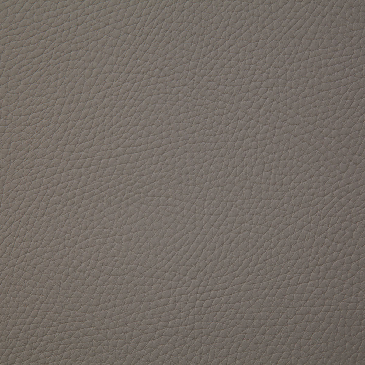 8079-bandero-taupe-pindler - Pindler Fabric