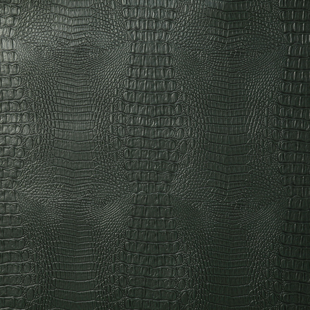 8080-max-spruce-pindler