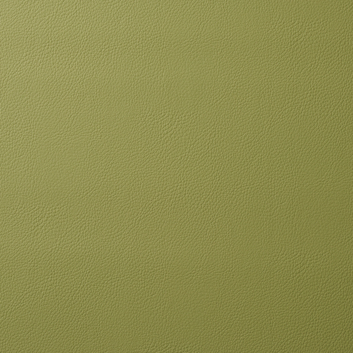 Vegan Leather Indoor/Outdoor - Moss - Schumacher 80907 Fabric - Schumacher Fabric