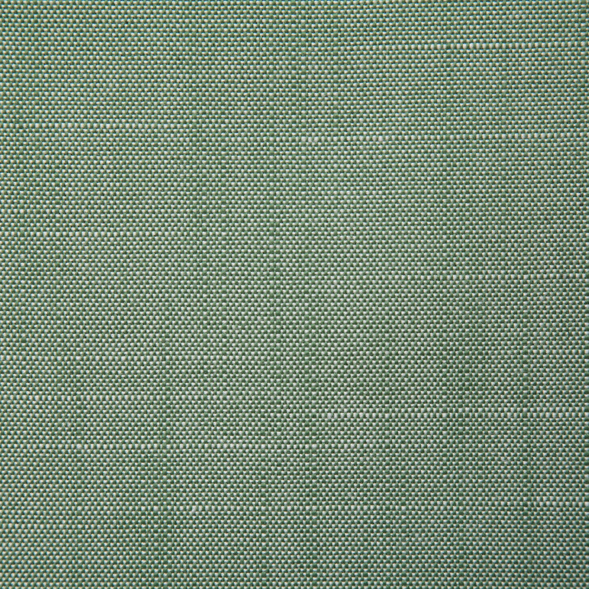 8091-raleigh-leaf-pindler - Pindler Fabric