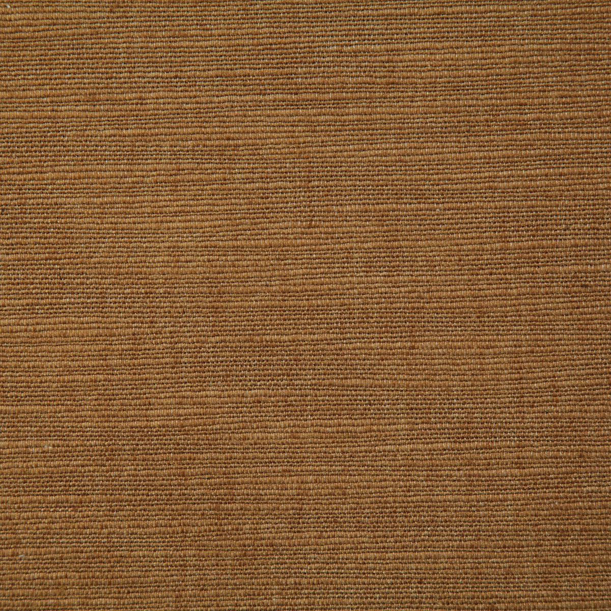 8100-thompkins-amber-pindler - Pindler Tela