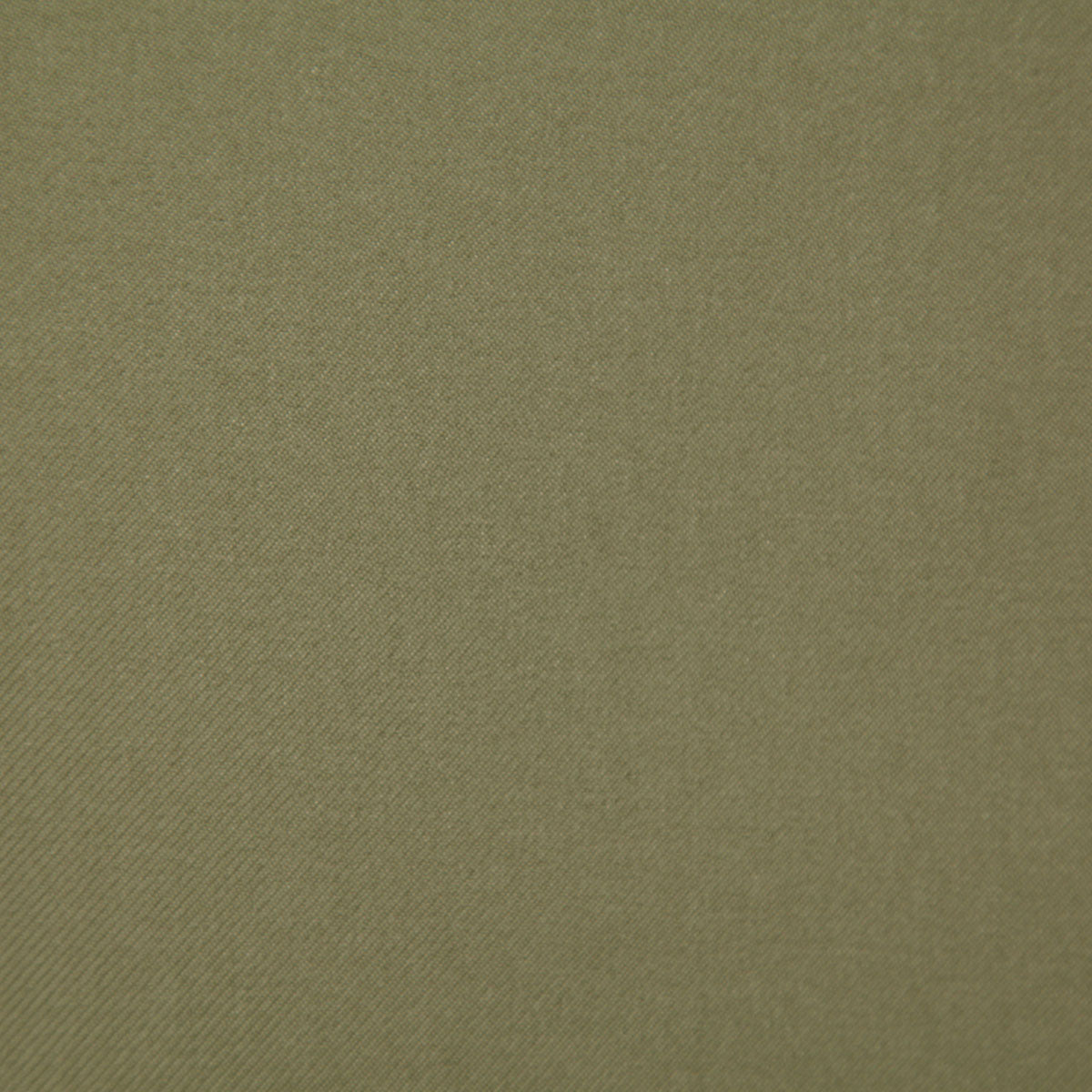 8104-hayes-sage-pindler
