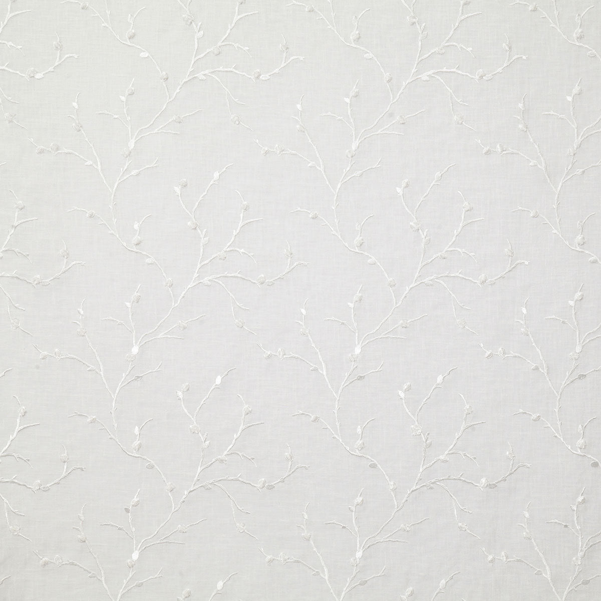 8109-maria-white-pindler