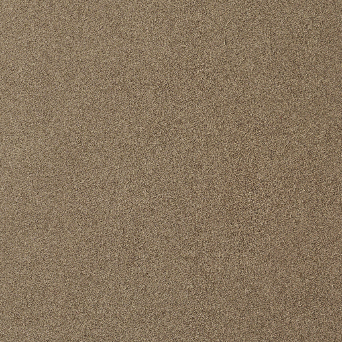 VEGAN-SUEDE-FAWN-SCHUMACHER-81137