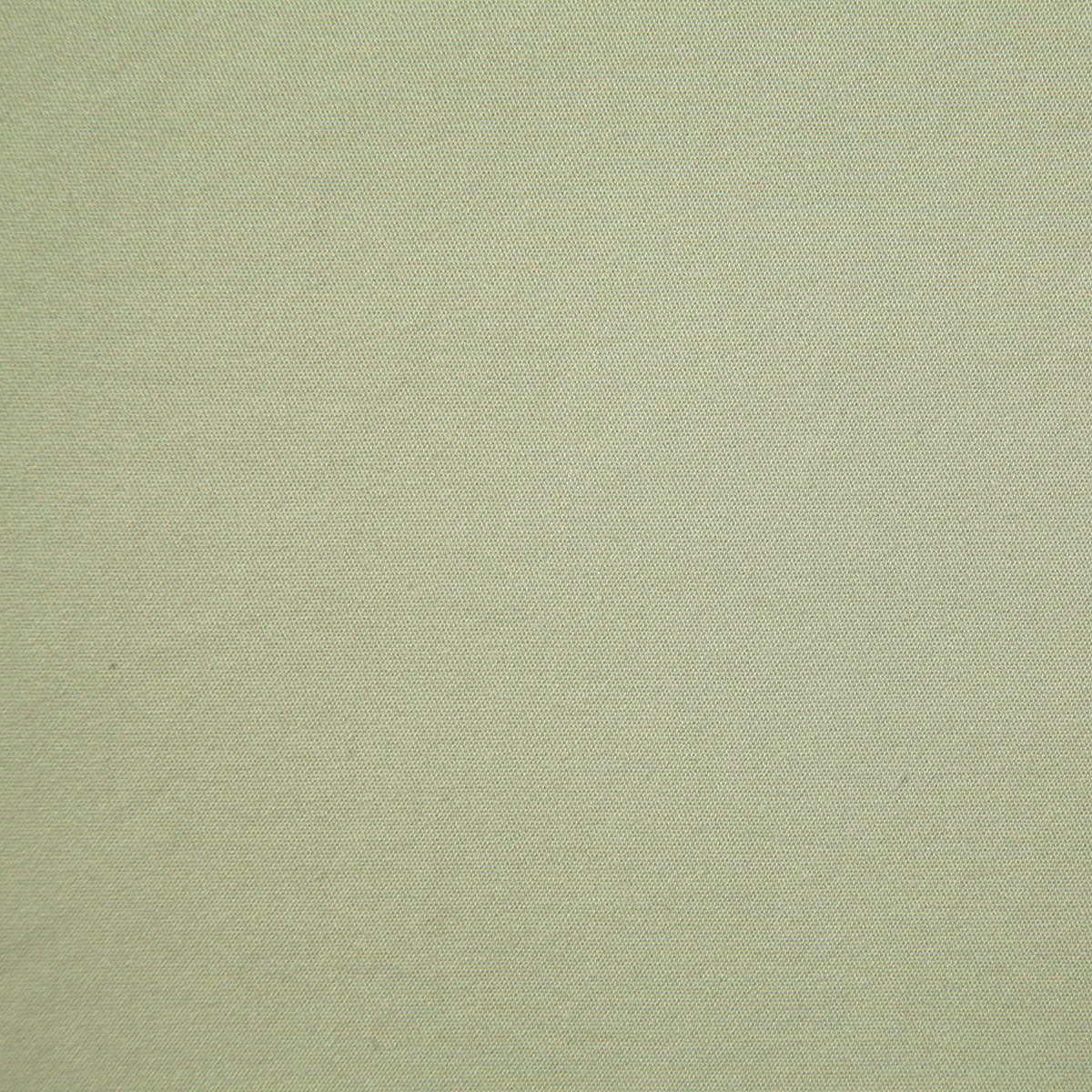8157-westminster-sage-pindler - Pindler Fabric