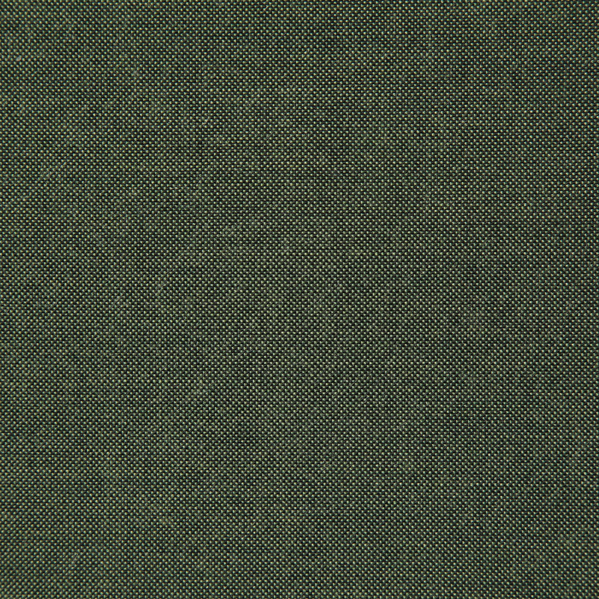 8165-cliffridge-lichen-pindler - Pindler Fabric