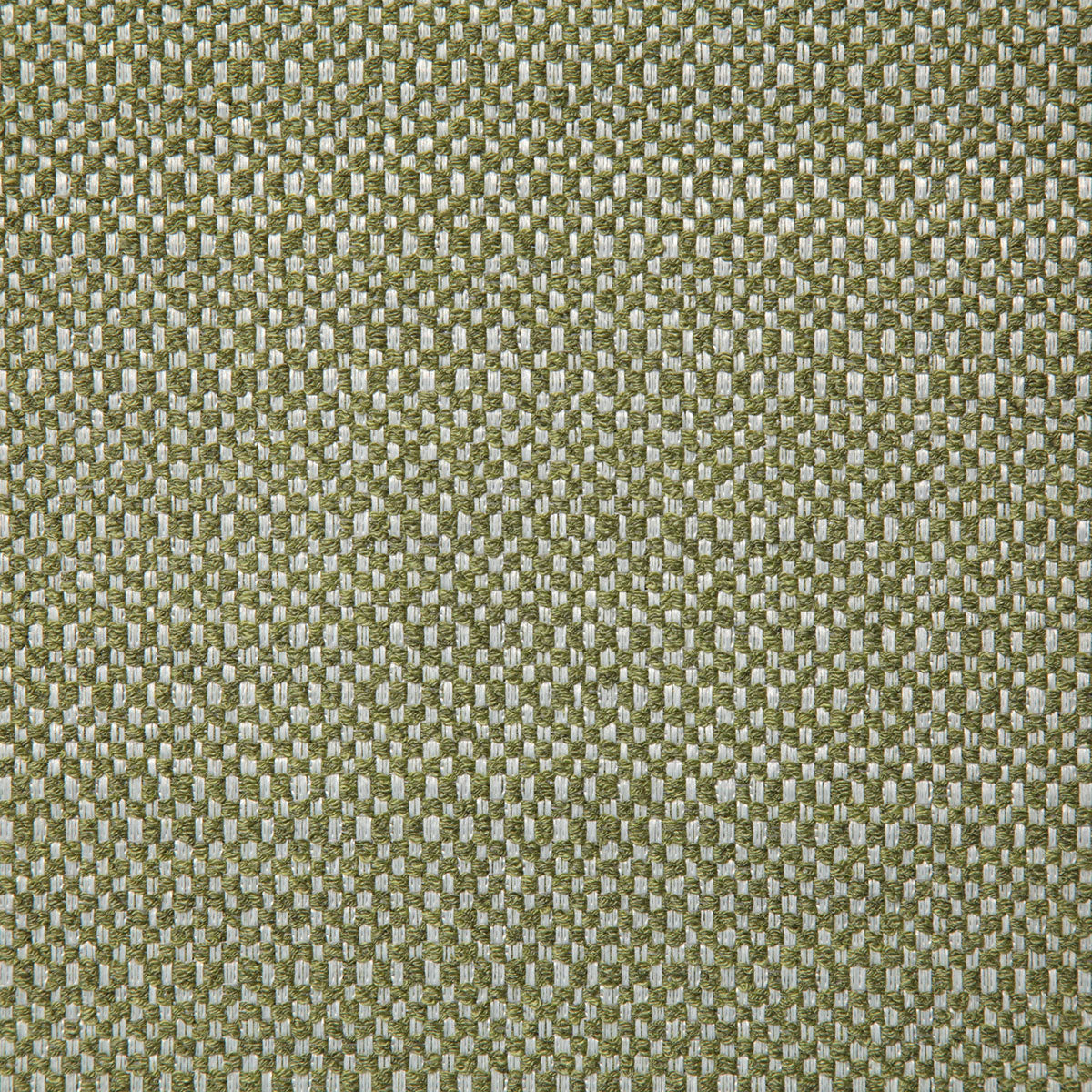 8167-wading-citrus-pindler