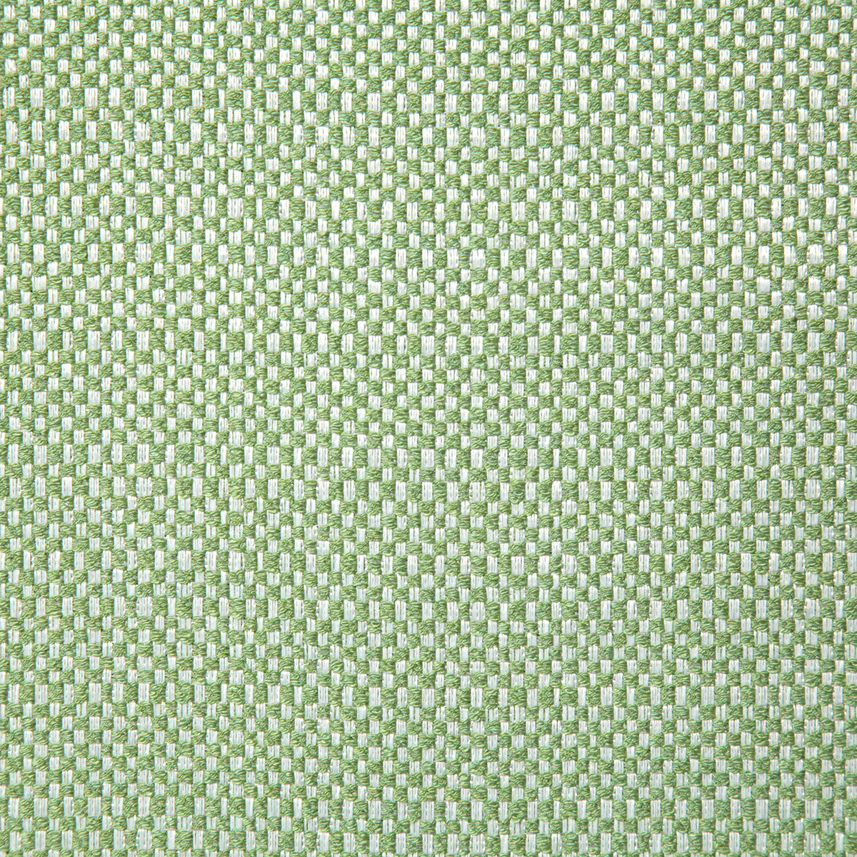 8167-wading-spring-pindler