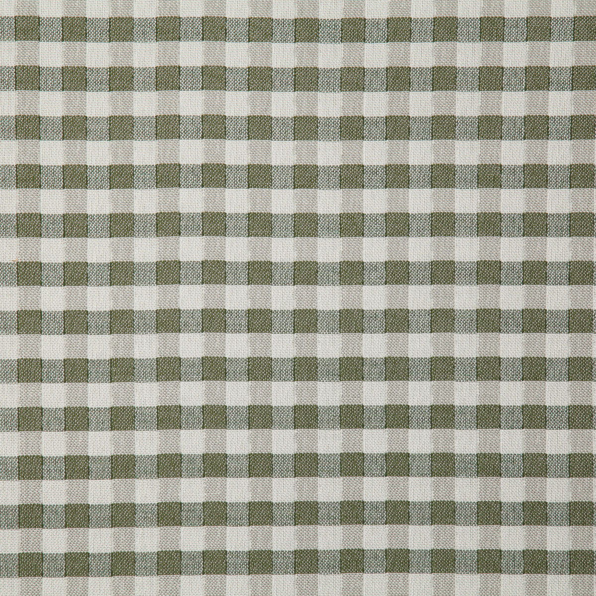 8173-little-gingham-green-pindler - Pindler Tela