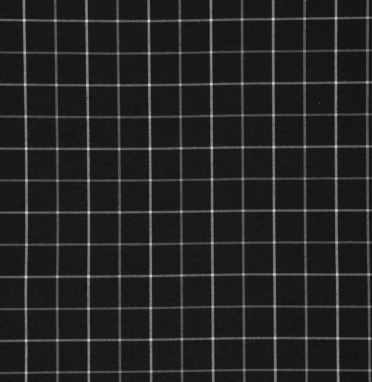 8178-zuma-domino-pindler