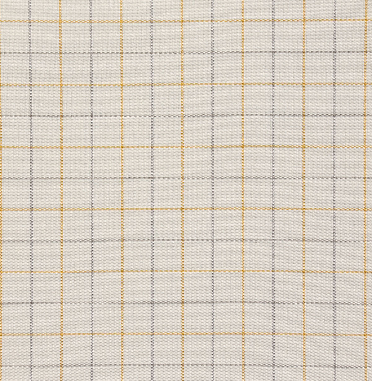 8178-zuma-sunshine-pindler