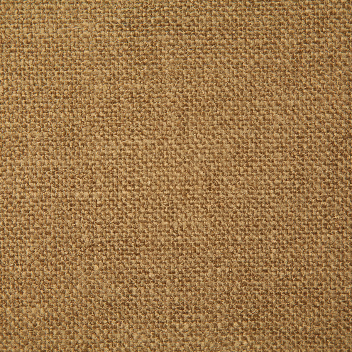 8199-dale-golden-pindler