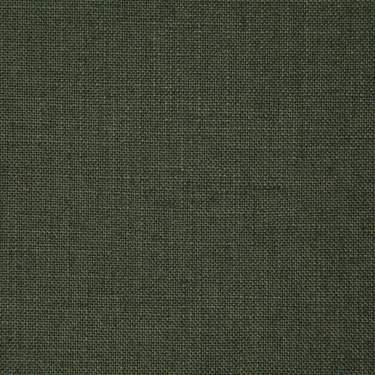8208-millward-forest-pindler