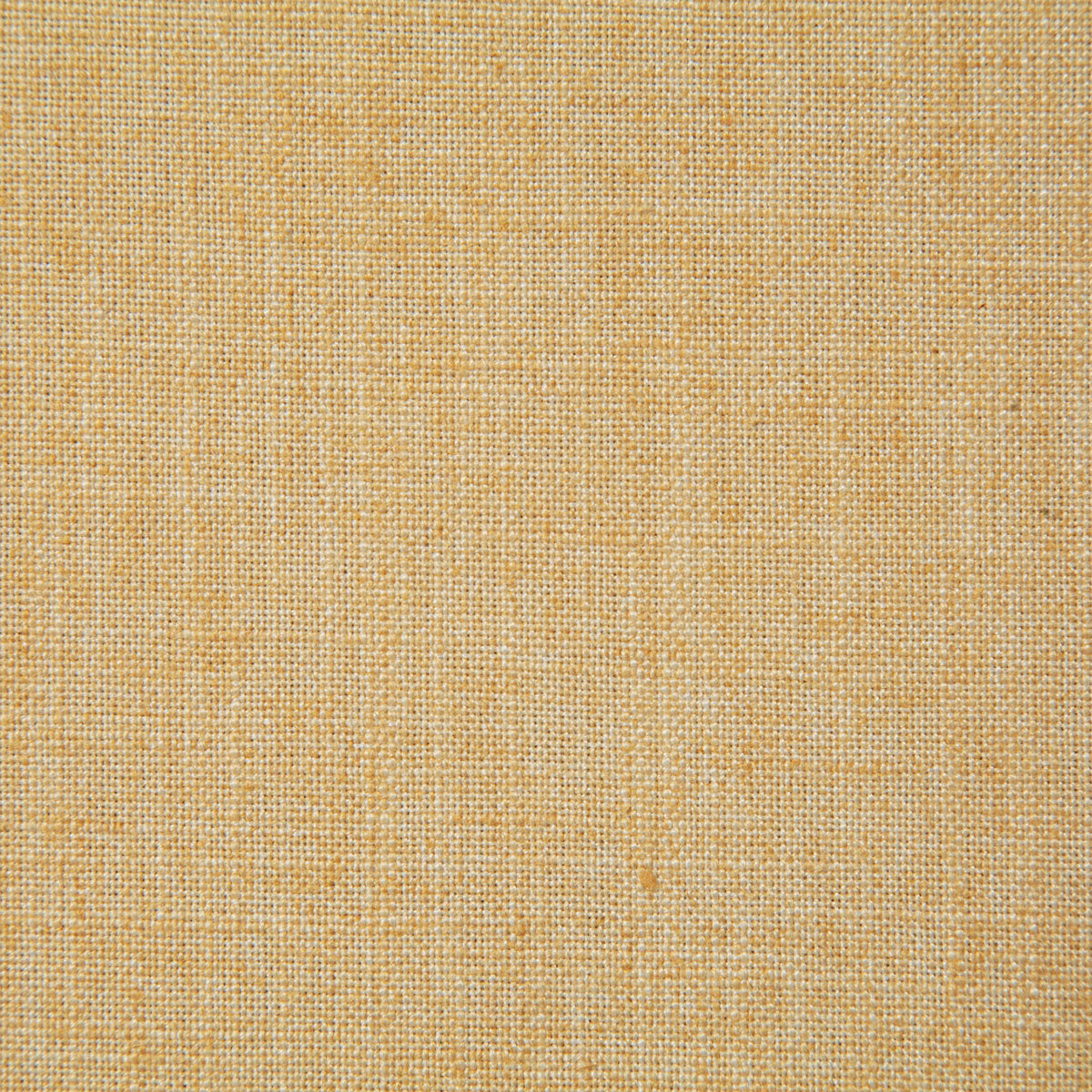 8208-millward-maize-pindler