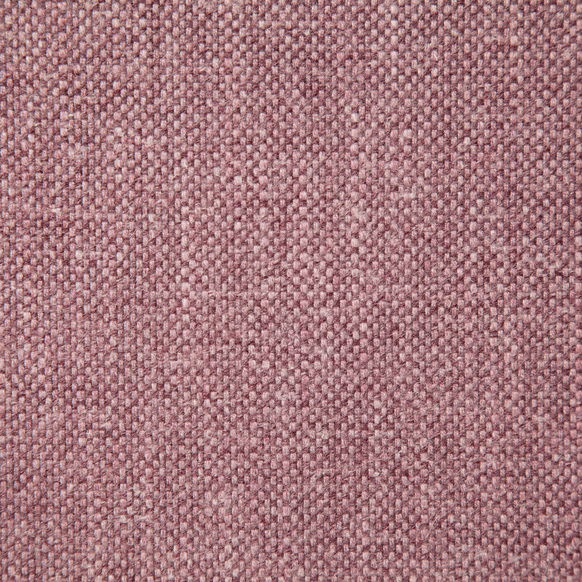 8209-mann-orchid-pindler - Pindler Tela