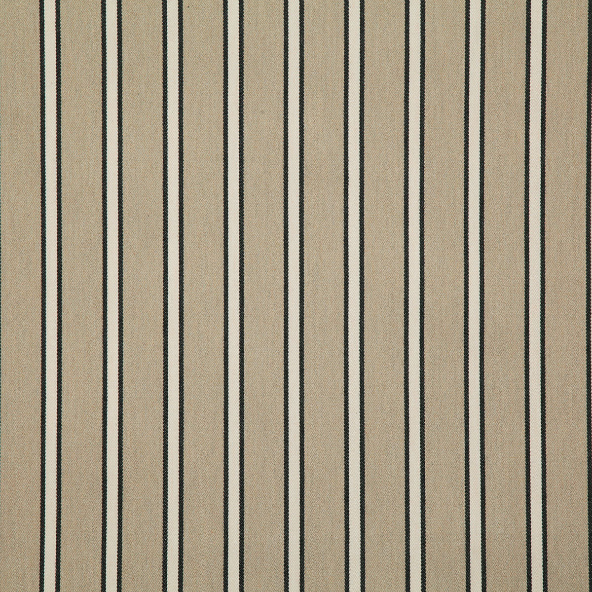 8212-mayer-noir-pindler - Pindler Fabric