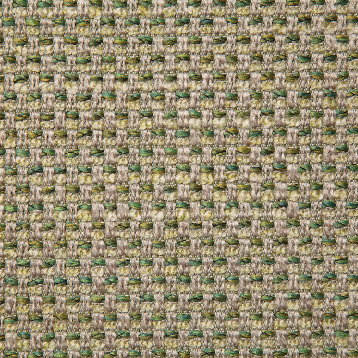 8231-brendel-sprout-pindler
