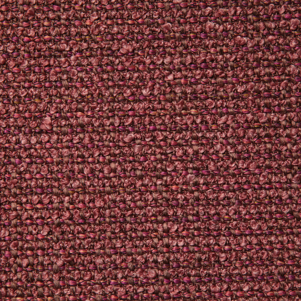 8232-chandra-plum-pindler