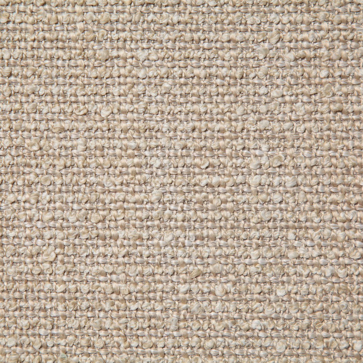 8232-chandra-sesame-pindler
