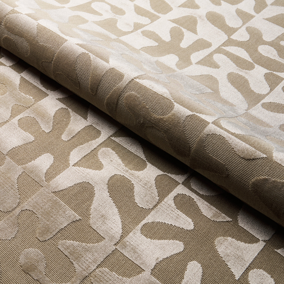 Modern Dance Velvet - Champagne - Schumacher 82991 Fabric - Schumacher Fabric