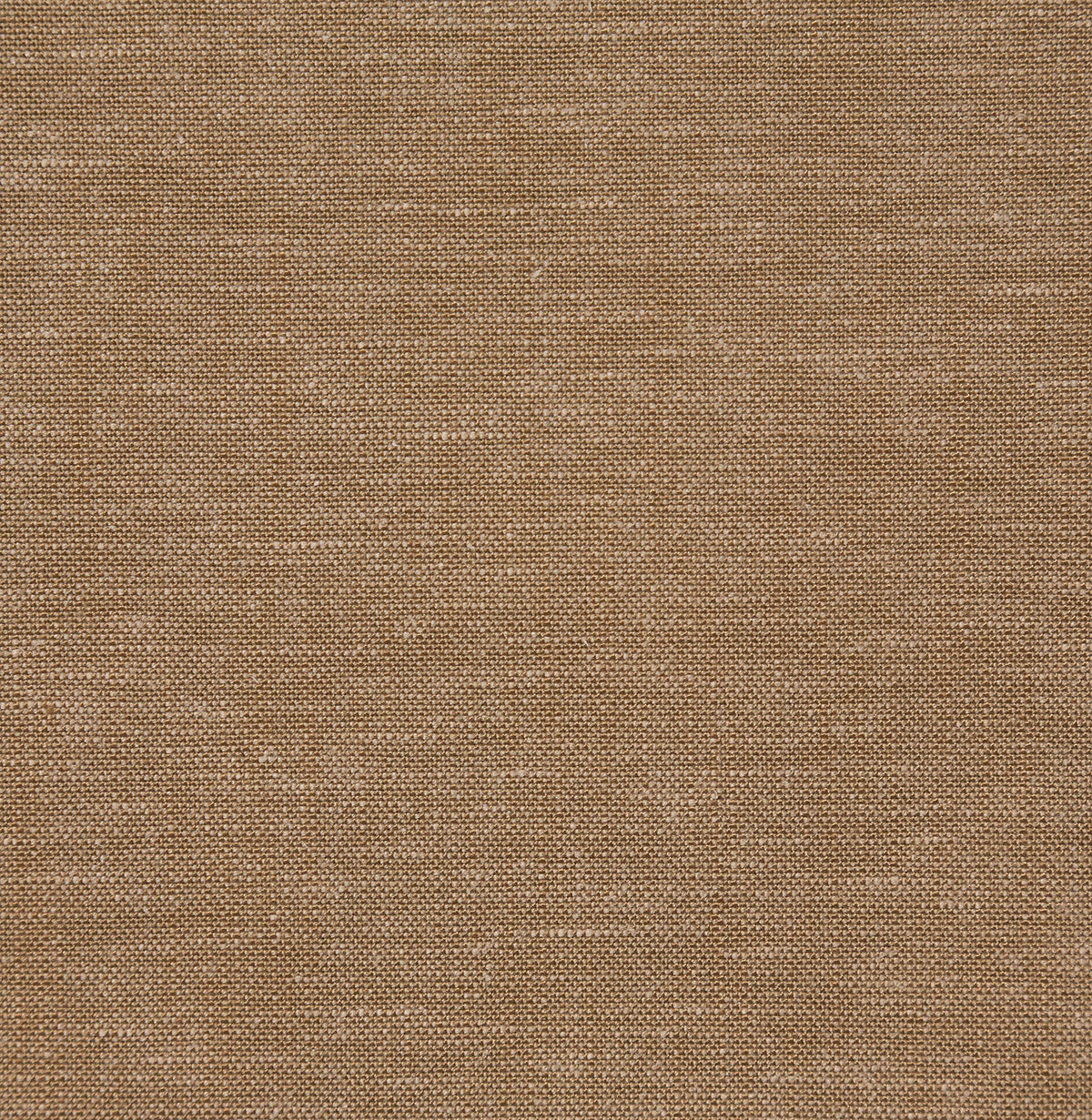 8342-gerald-camel-pindler