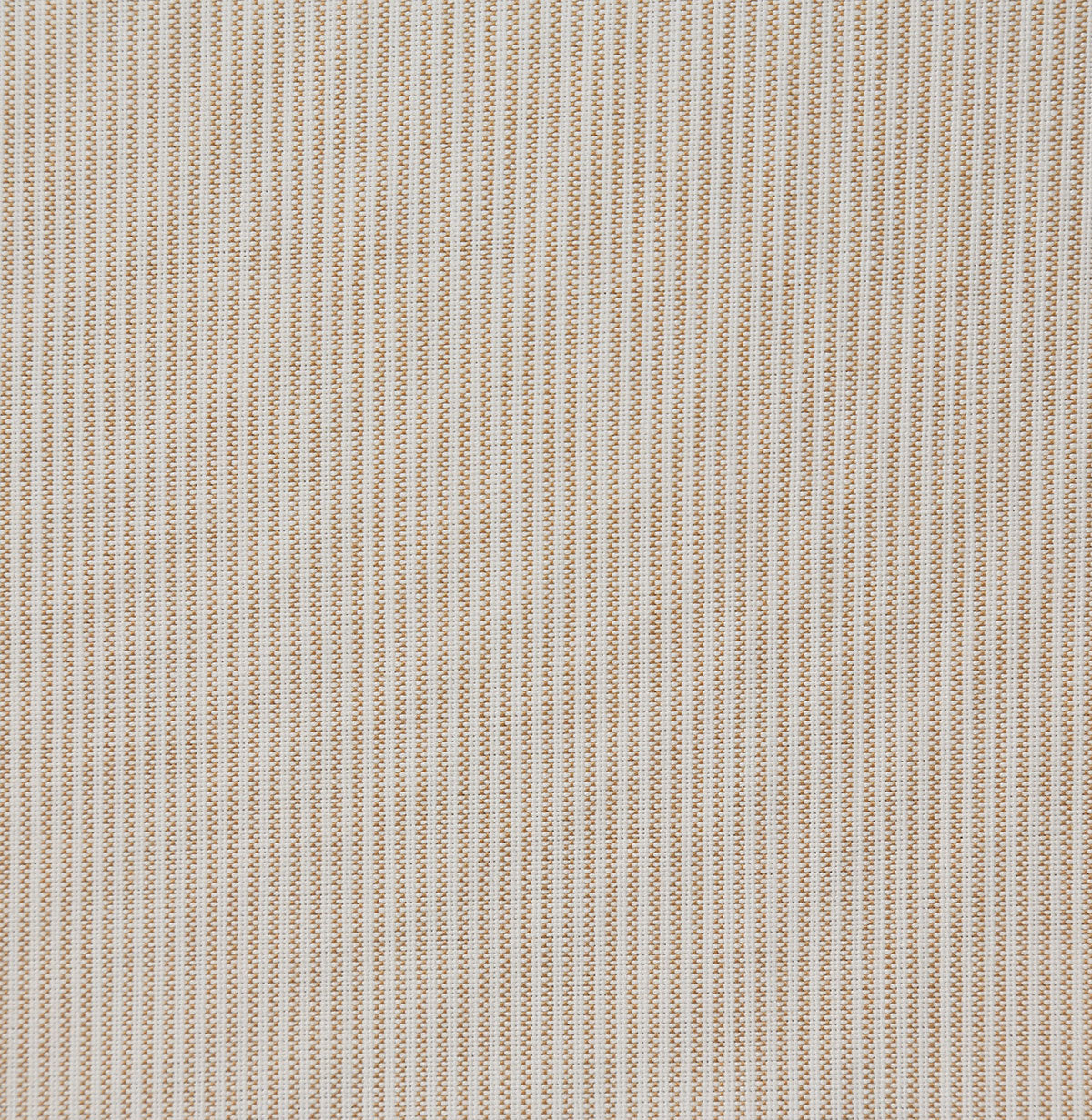 8344-story-caramel-pindler